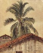Frederic E.Church Palm Tres and Housetops,Ecuador Sweden oil painting artist